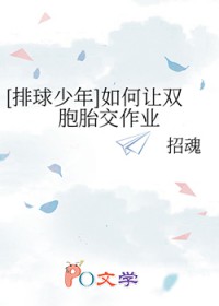 [排球少年] 如何让双胞胎交作业